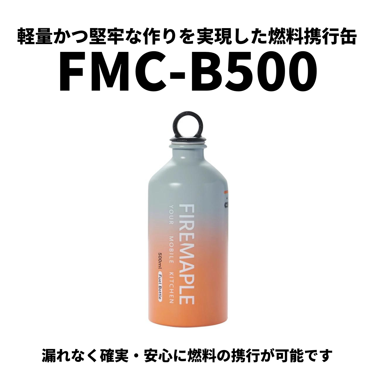 FMS-B500