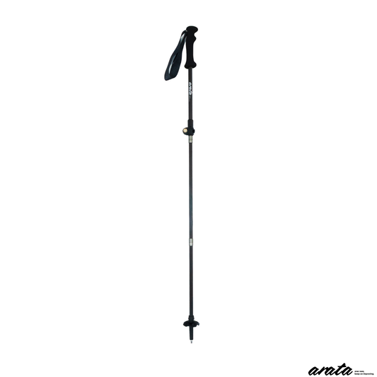 ATP-125 6月19日頃出荷開始