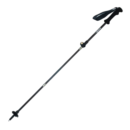 ATP-125 6月19日頃出荷開始